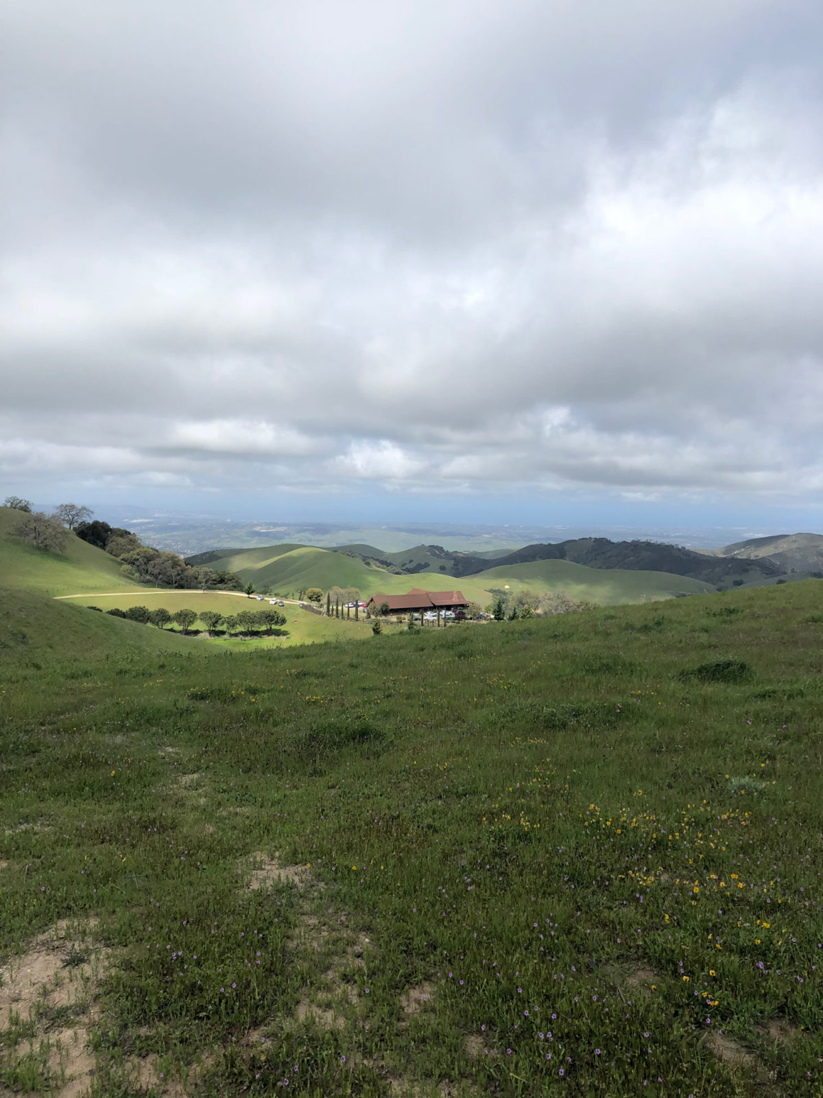 A Quick Jaunt to Monterey and Tour of the Dorrance Ranch